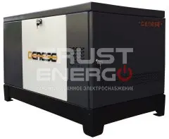 Газовый генератор Genese Pro 22000 T Neva кожухе с АВР